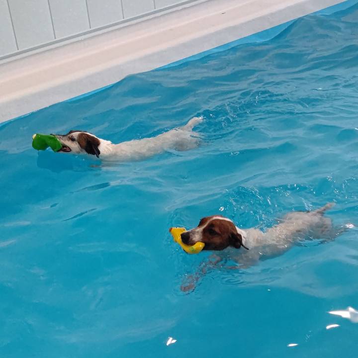 F3ab4677 2911 4bba a2bd 1bbf803b68b6 1642315575432