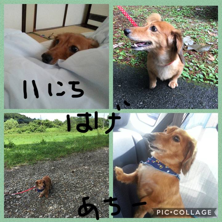 F3ab4e02 116f 4f85 b44d 08afb88759af 1533970268585