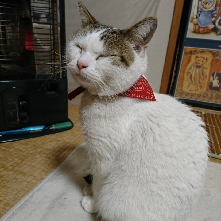 F3ab6d00 1995 492b 8d26 8d3b546b0c19 1519053843948