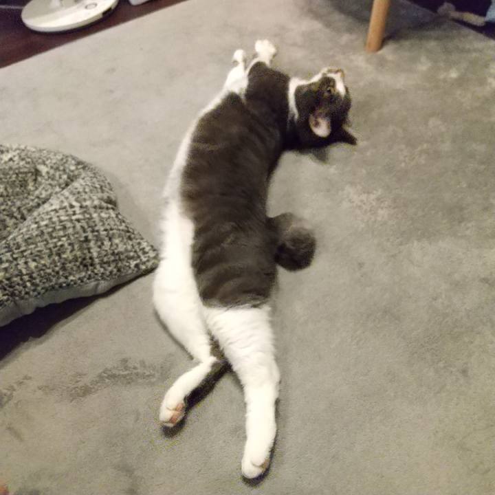 F3ab8ad1 f685 454f 8a2b 03c8081bced7 1604872434966