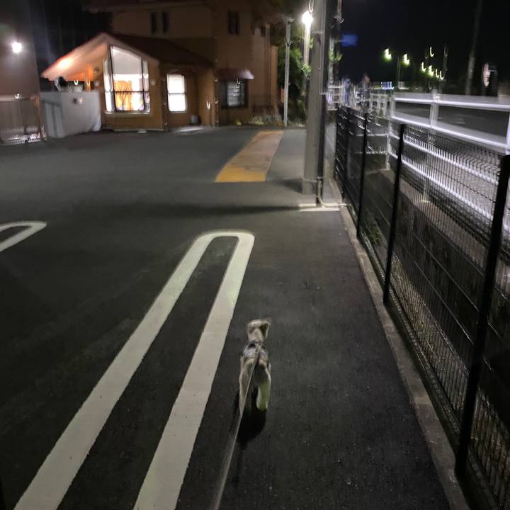 F3ab9cfc 65fc 46db 94c8 efa16e5a10fa 1588336951488