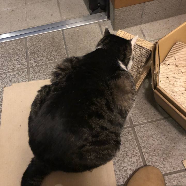 F3aba988 65d2 405b a5d6 df3d3ec52e94 1581242292401