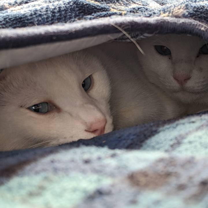 F3abb000 0b1e 4b54 984c c66fbb5cc8f0 1667359183417