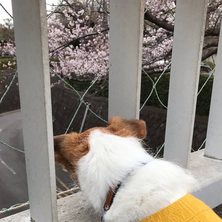 F3abc016 fb18 4ba0 9d1d 4bcd22131330 1553761229422