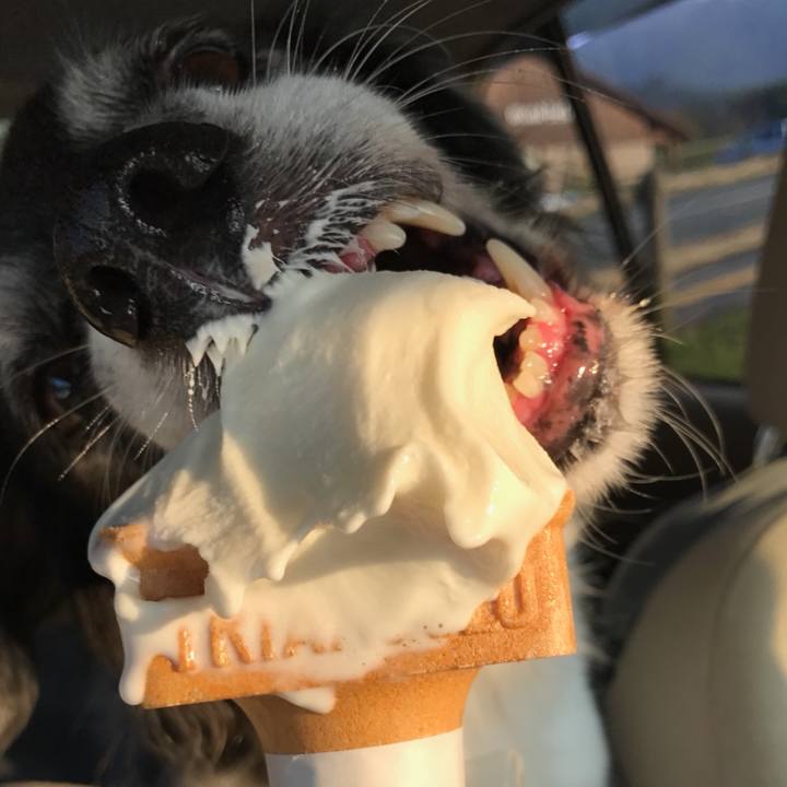 F3abda16 853b 46c2 be00 c59d19ec5a4f 1507787937535