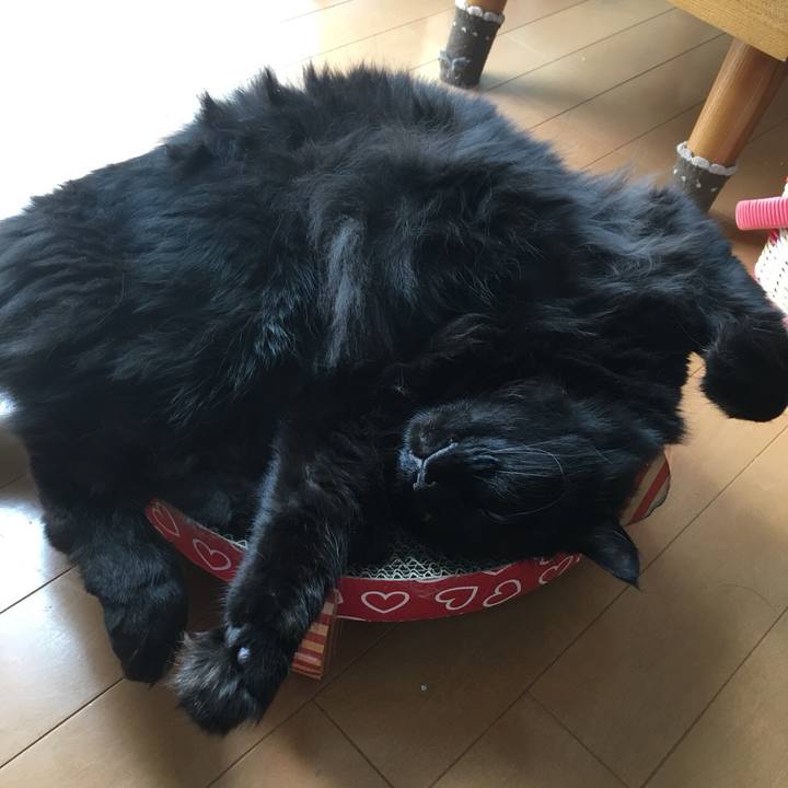 F3abe6ba f3e7 47f4 8ed0 052bcfed5780 1528353734312