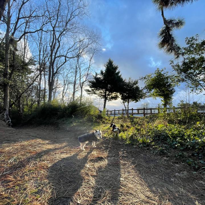 F3abf02d 49bc 4767 b1c4 964e5ce3fb07 1738712498916