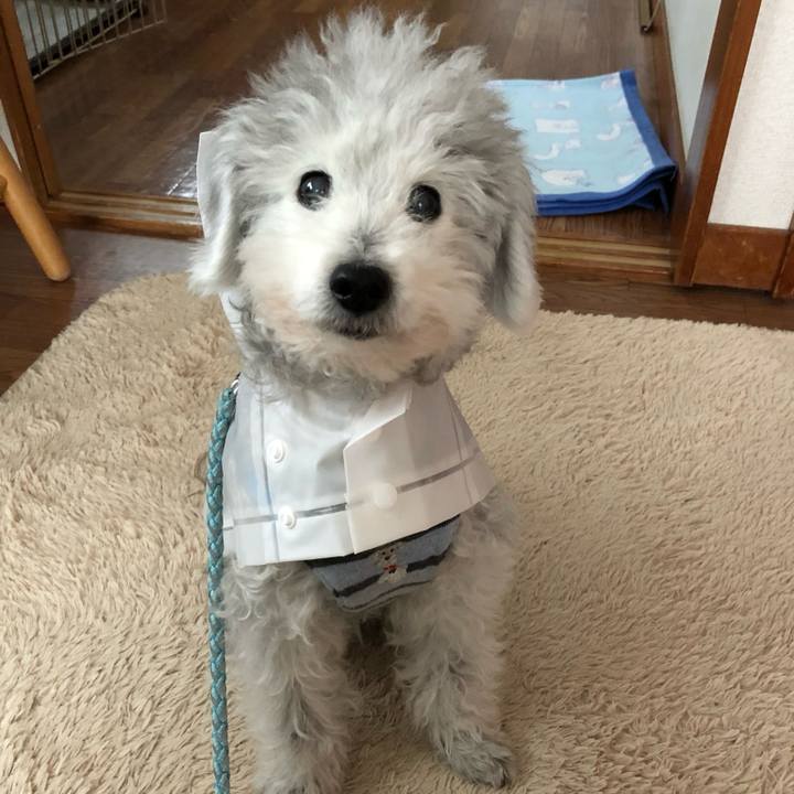 F3abfa27 7774 4edd bc5c f8e2fcf45ef2 1719792958627