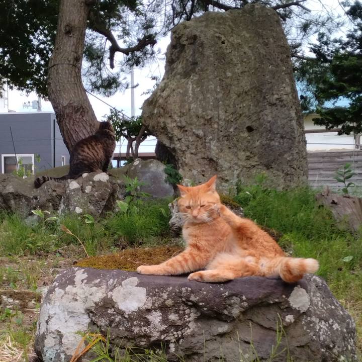 F3ac0439 215a 411d bc64 9c7e4b8e9fb3 1718705085334