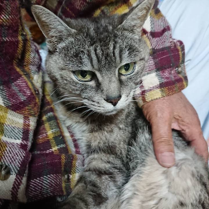 F3ac189a 5d7c 46d8 b30a 12ccc36b0076 1574248806652