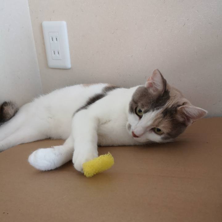 F3ac1f17 b670 48cd a427 98a1ca6b4aa7 1567858320483