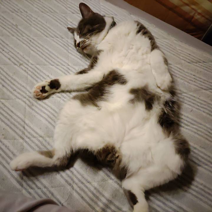 F3ac4e5d c54f 4370 98b2 fb205e18a986 1716983902645