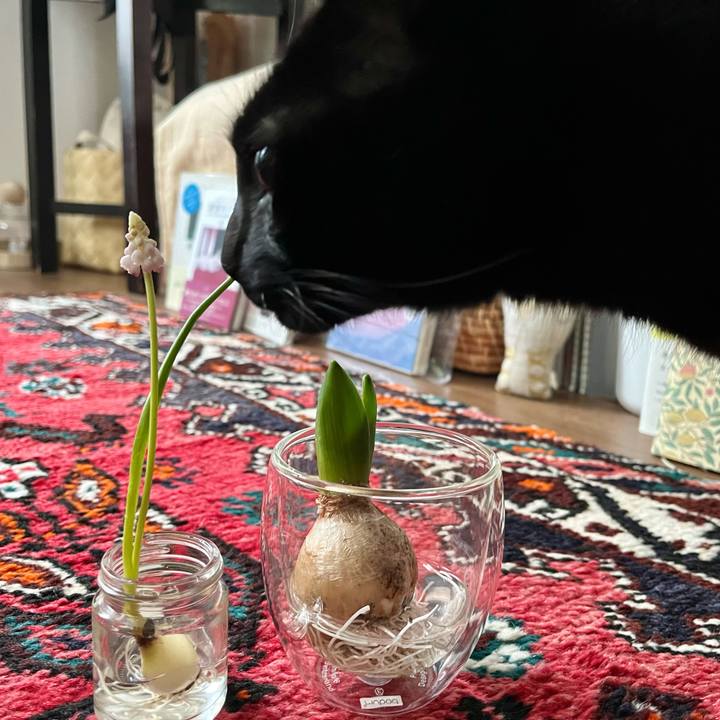 F3aca82b 51cb 4d98 89f7 8f995c3bced9 1705801397596