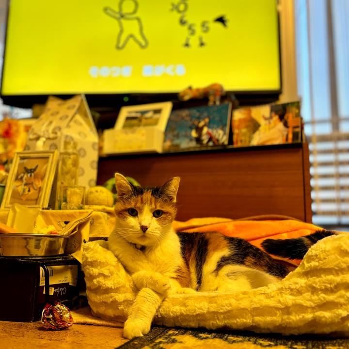 F3acec50 cae7 418a a568 0222a1c93867 1704844822660