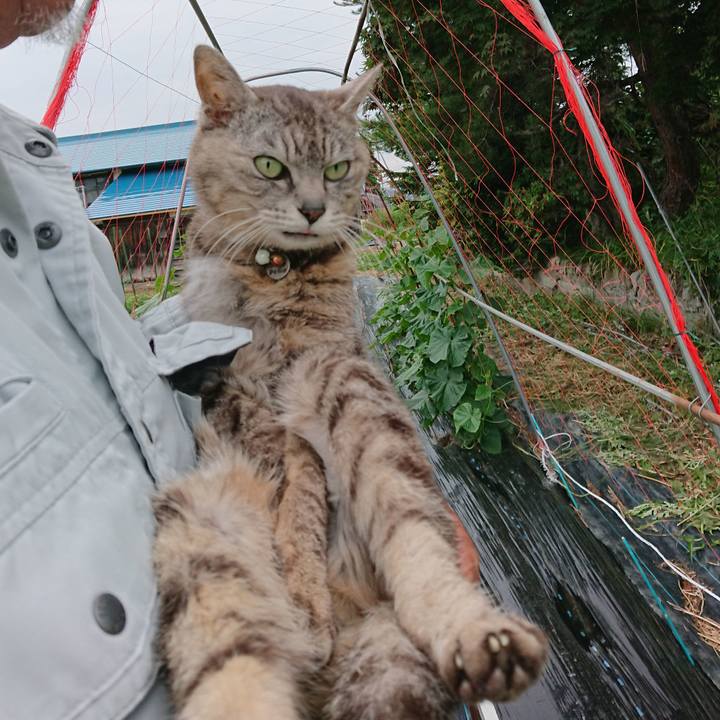 F3ad0363 4631 4376 bf58 0db560ad7af1 1592903525883