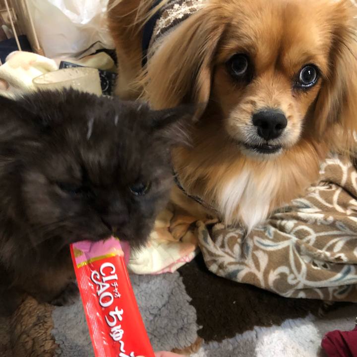 F3ad2492 205f 4080 aec8 5ab825410db4 1545434845588