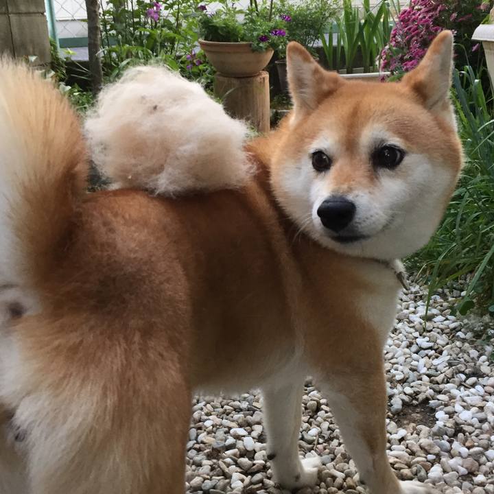 F3ae040d 368e 441d 96be 0965af6f8cee 1557480566980