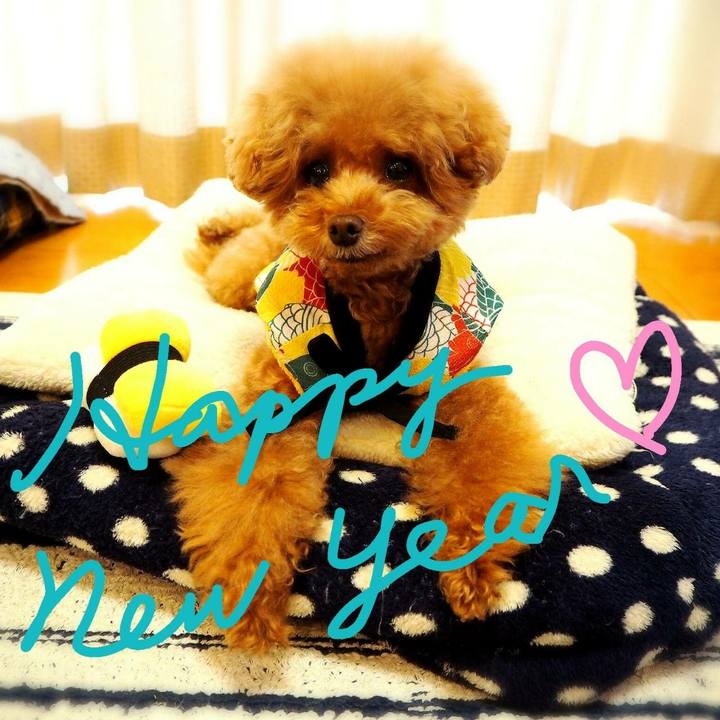 F3ae1b39 0760 4565 a406 f759e96cd683 1514810507448