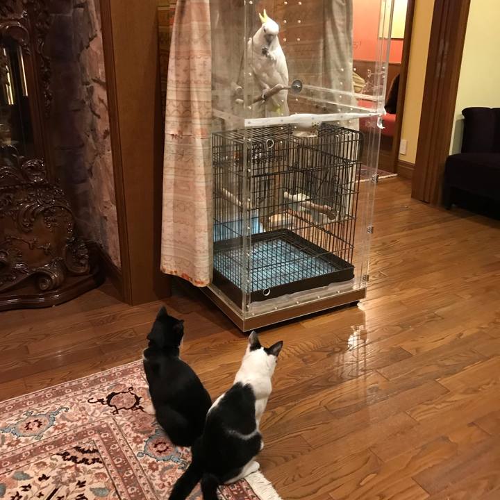 F3ae1dea e81d 417d b086 4bcff175212c 1538910652341