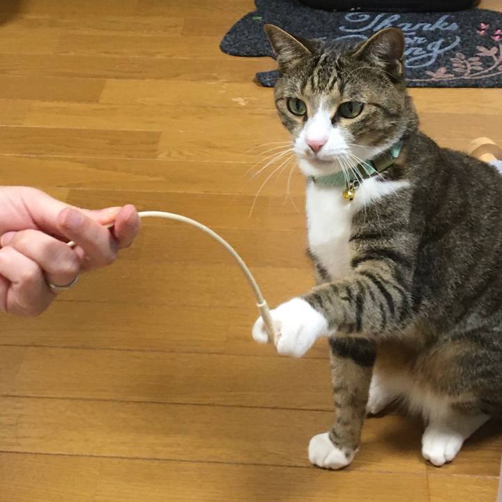 F3ae1e60 e886 46a7 9f21 5fe63619df03 1700624140943