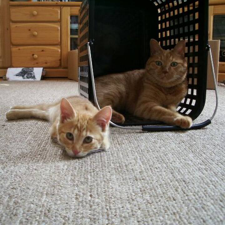 F3ae392c 75e5 43d8 87c1 2a13be8a1514 1511188756582