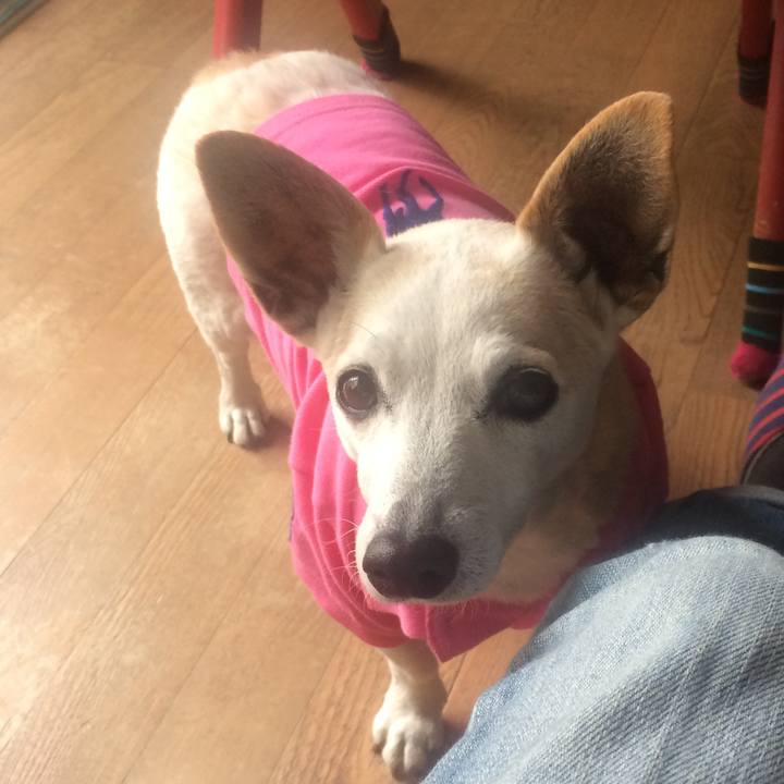 F3ae436e 7996 46b0 ac01 abf3542d219a 1629028904980