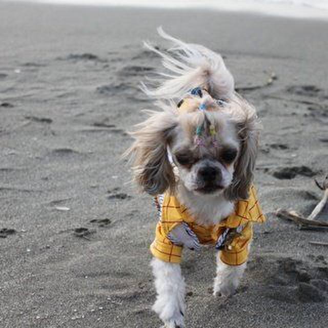 F3ae48b7 131a 4ab3 9a12 55af188a3adb 1641202131092