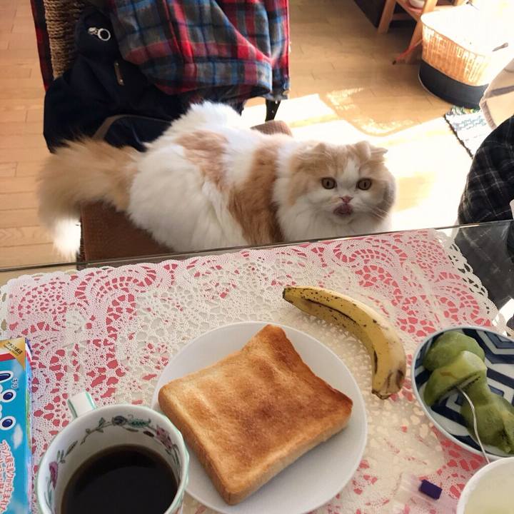 F3ae52ed 3c30 4147 9557 973d7e5fa48b 1549848527841