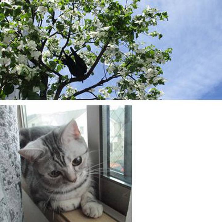 F3ae58f8 6b9d 48e1 b219 c0a4e811553e 1556528023600