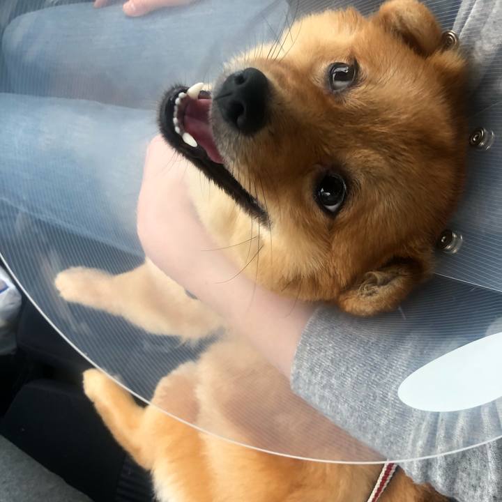 F3aedd51 18b7 490a aaff c34c75c43e43 1593312368803