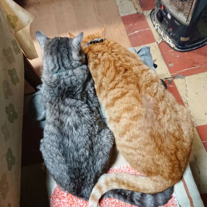 F3aedf30 18bf 4a7f 89ad fd34e48d5906 1576229004458