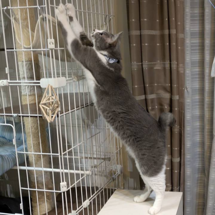 F3aee13a 5342 4c9b abe0 62717d1a97e5 1760524277383