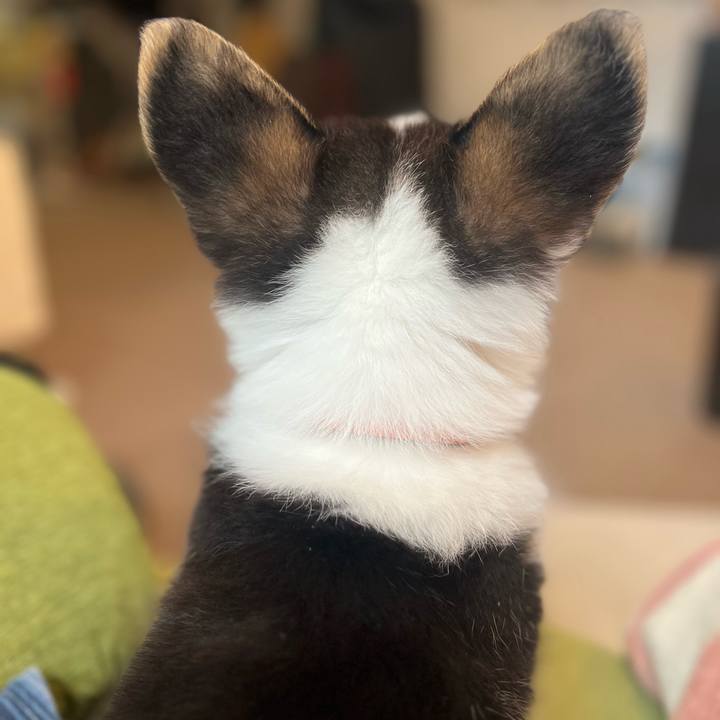 F3aef754 4f21 4651 aec5 fc6f9e93b7f9 1768951845736