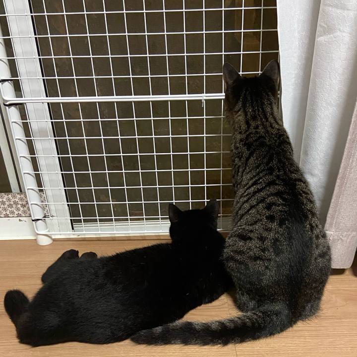 F3af1e86 72d3 4210 86d8 ea96e5f22e5b 1624965921299