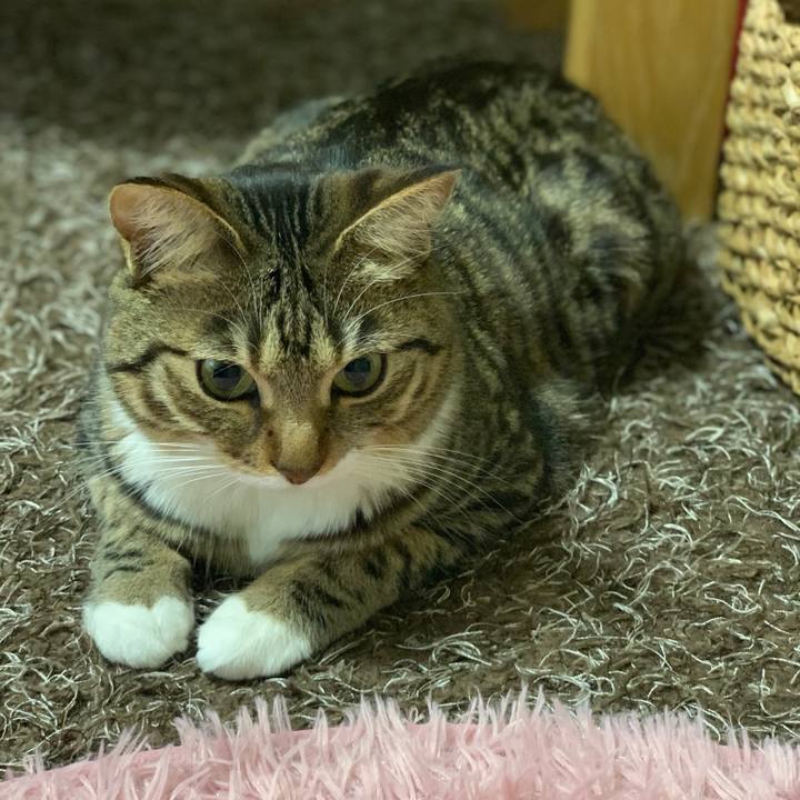 F3af3824 6742 43b5 81a8 3ac986e1adb4 1555924343851