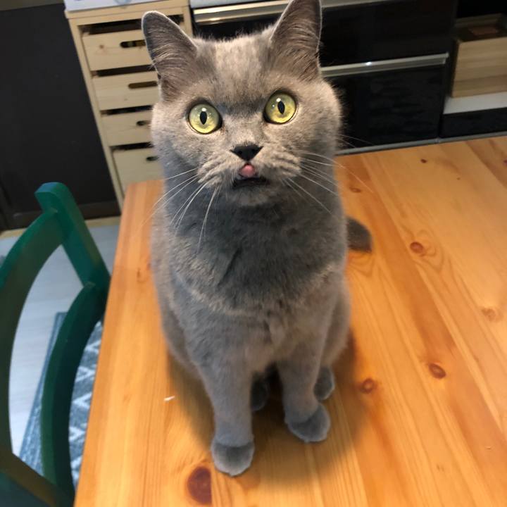 F3af4d0b 3c13 4d9c 83e4 d487231dd5d1 1592651051636