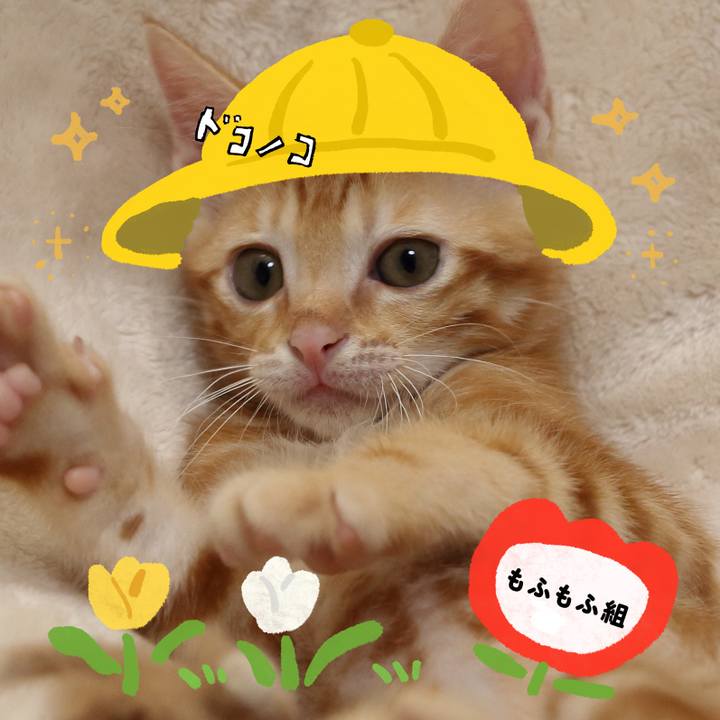 F3af69f3 902d 4724 a8a6 6f47df4a0081 1712268864312