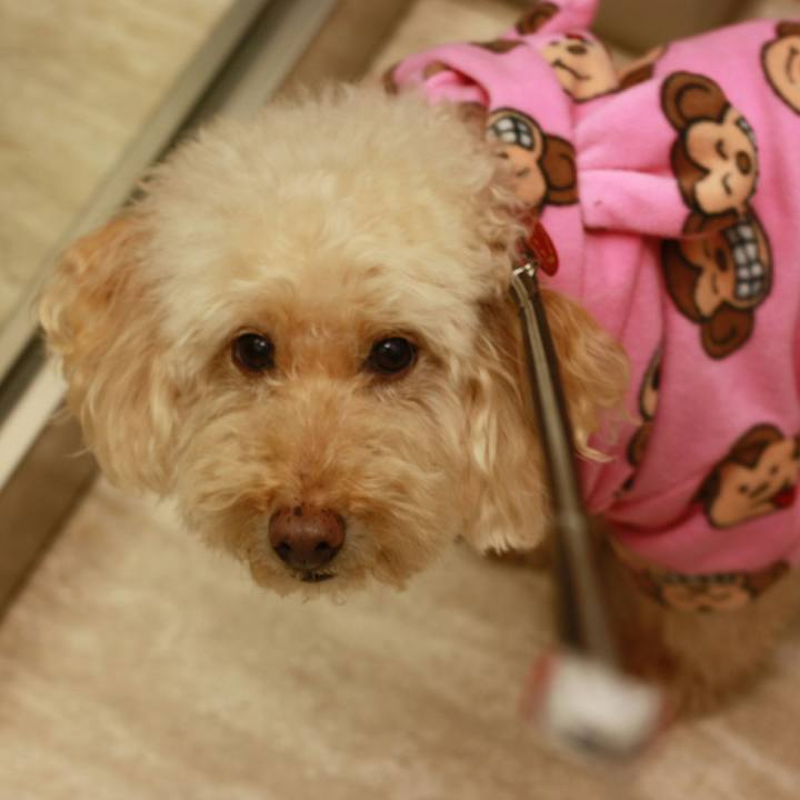 F3af7a66 681d 43b9 8524 d4fe489553d0 1548264121922