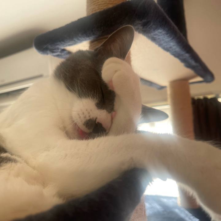 F3af8627 70d7 4d01 8d24 f0dcd69e5474 1670800927780