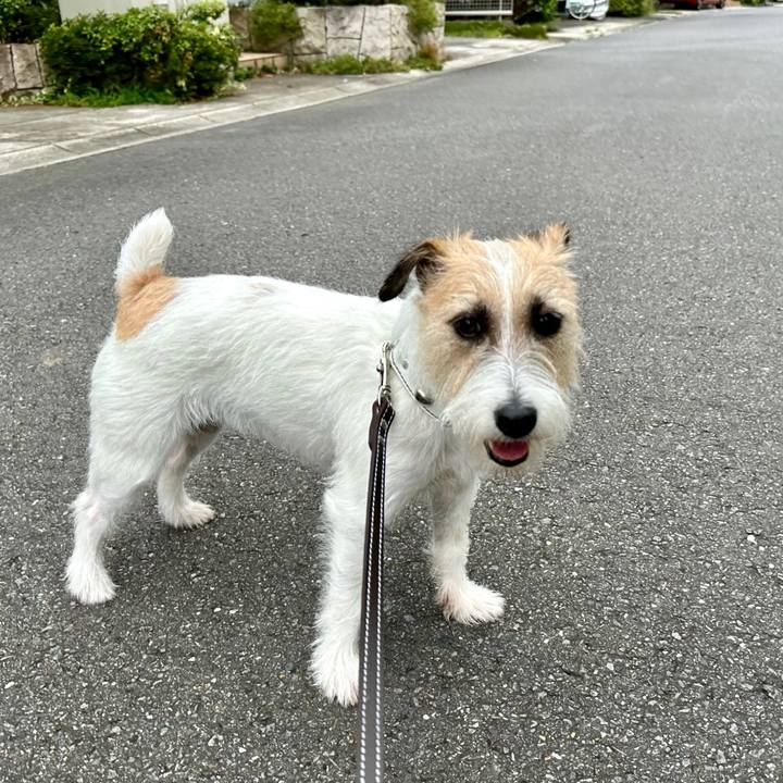 F3af947b ae0c 412c 9aa6 a0202852c17c 1720774777469