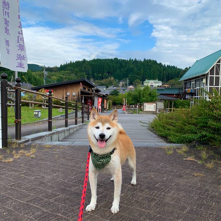 F3b003e8 6407 49e7 9f90 8a9b612437d8 1695719438595