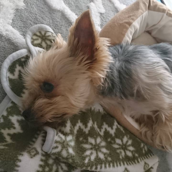 F3b00d46 6196 4e9c b6e7 fa682f3d735c 1551569915270