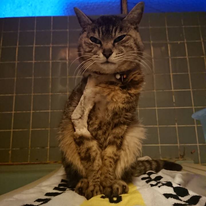 F3b052c8 bb8d 4869 b79e f08790dcf6b9 1588672694379