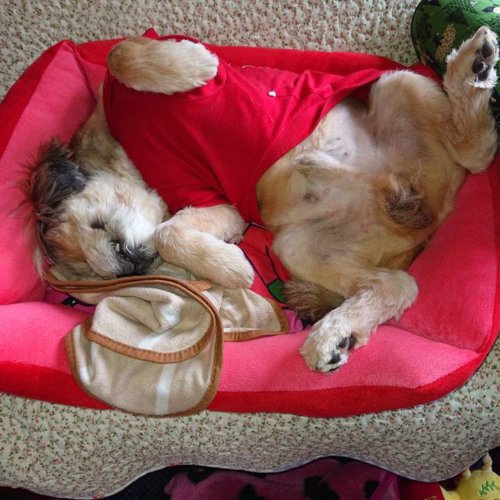 F3b0b4aa c21b 451c 866a 0eb4e1d0de2b 1611629085638