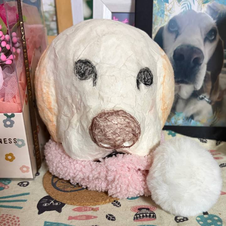 F3b0fc8a a6e3 4fad a0ee 4ea8f18ed90d 1770556620570