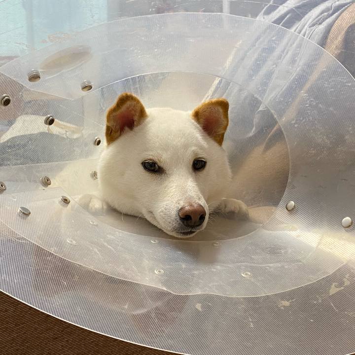 F3b0fdc3 4d83 4dee 95bb 075a1b2974fc 1595937002034