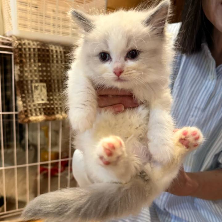 F3b1640e d5c0 436e a7e2 17c4c8295fe2 1726303580564