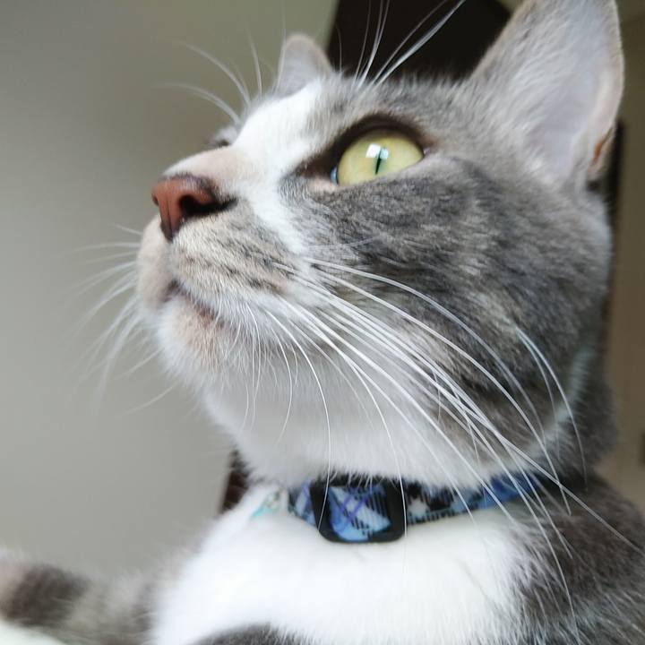 F3b19201 36cc 48cf 9d92 4fcb6e527302 1595896630796