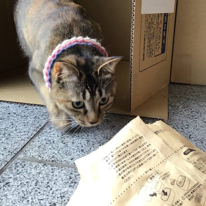 F3b1d187 b12c 4f8d b5a1 a9eefb6bcc4c 1618214459770