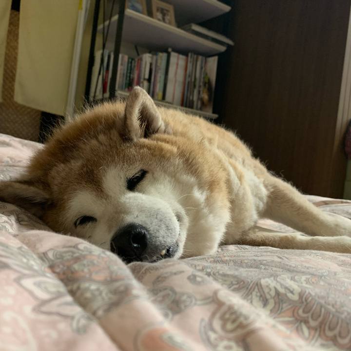 F3b22a2b 75ba 4ac7 8835 2d635065e24a 1621161923418